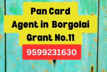 Pan Card Agent Consultant in Borgolai Grant No.11  8851415812