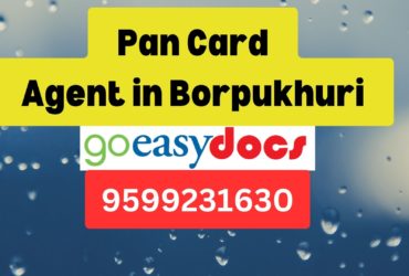 Pan Card Agent Consultant in Borpukhuri  8851415812