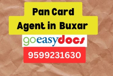 Pan Card Agent Consultant in Buxar   8851415812