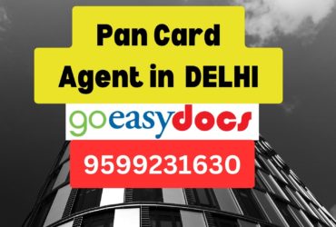 Pan Card Agent Consultant in Central 8851415812