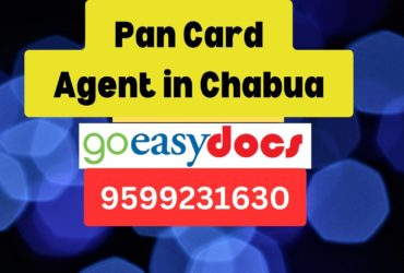 Pan Card Agent Consultant in Chabua  8851415812