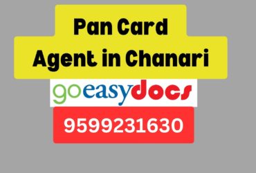 Pan Card Agent Consultant in Chanari 8851415812