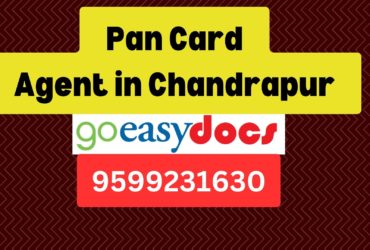 Pan Card Agent Consultant in Chandrapur 8851415812