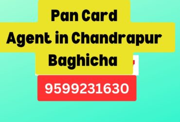 Pan Card Agent Consultant in Chandrapur Baghicha   8851415812