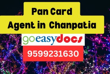 Pan Card Agent Consultant in Chanpatia  8851415812