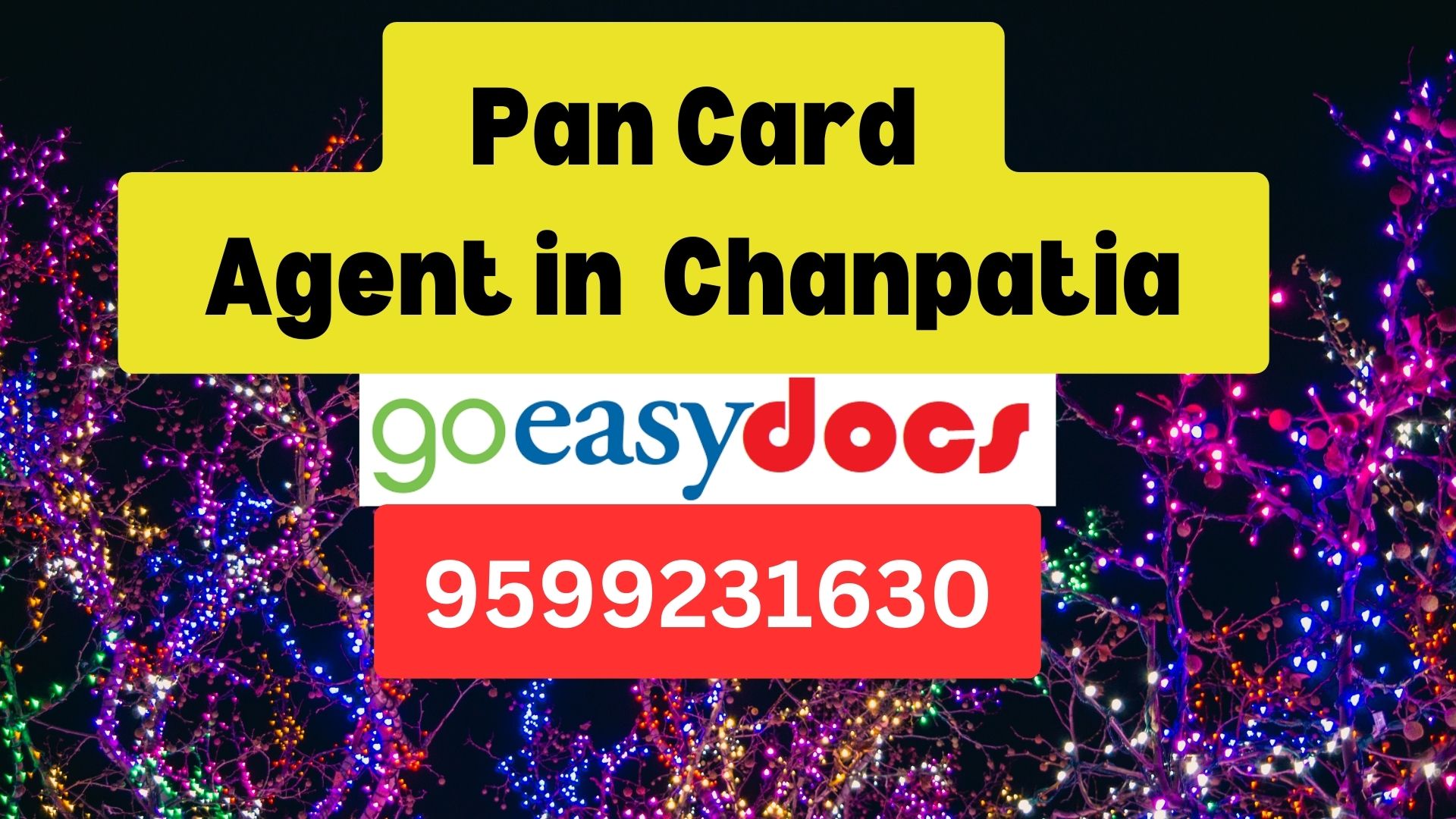 Pan Card Agent Consultant in Chanpatia  8851415812