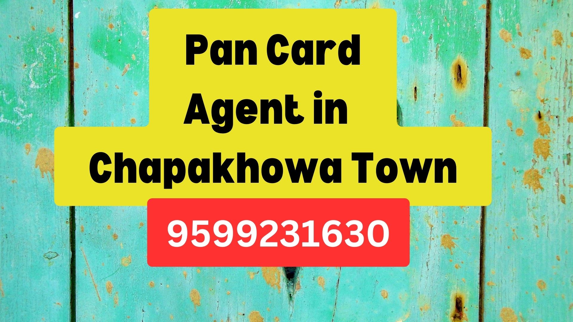 Pan Card Agent Consultant in Chapakhowa Town  8851415812