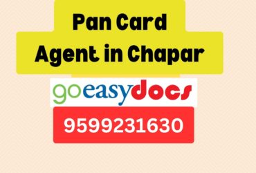 Pan Card Agent Consultant in Chapar  8851415812