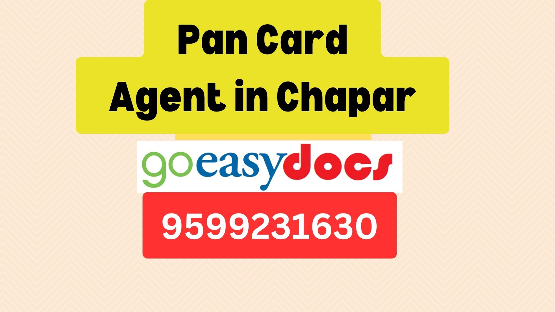 Pan Card Agent Consultant in Chapar  8851415812