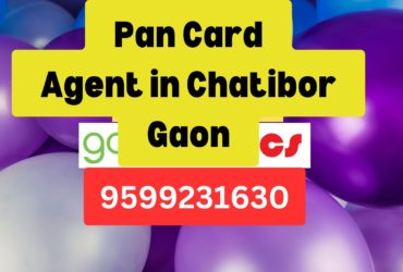 Pan Card Agent Consultant in Chatibor Gaon  8851415812