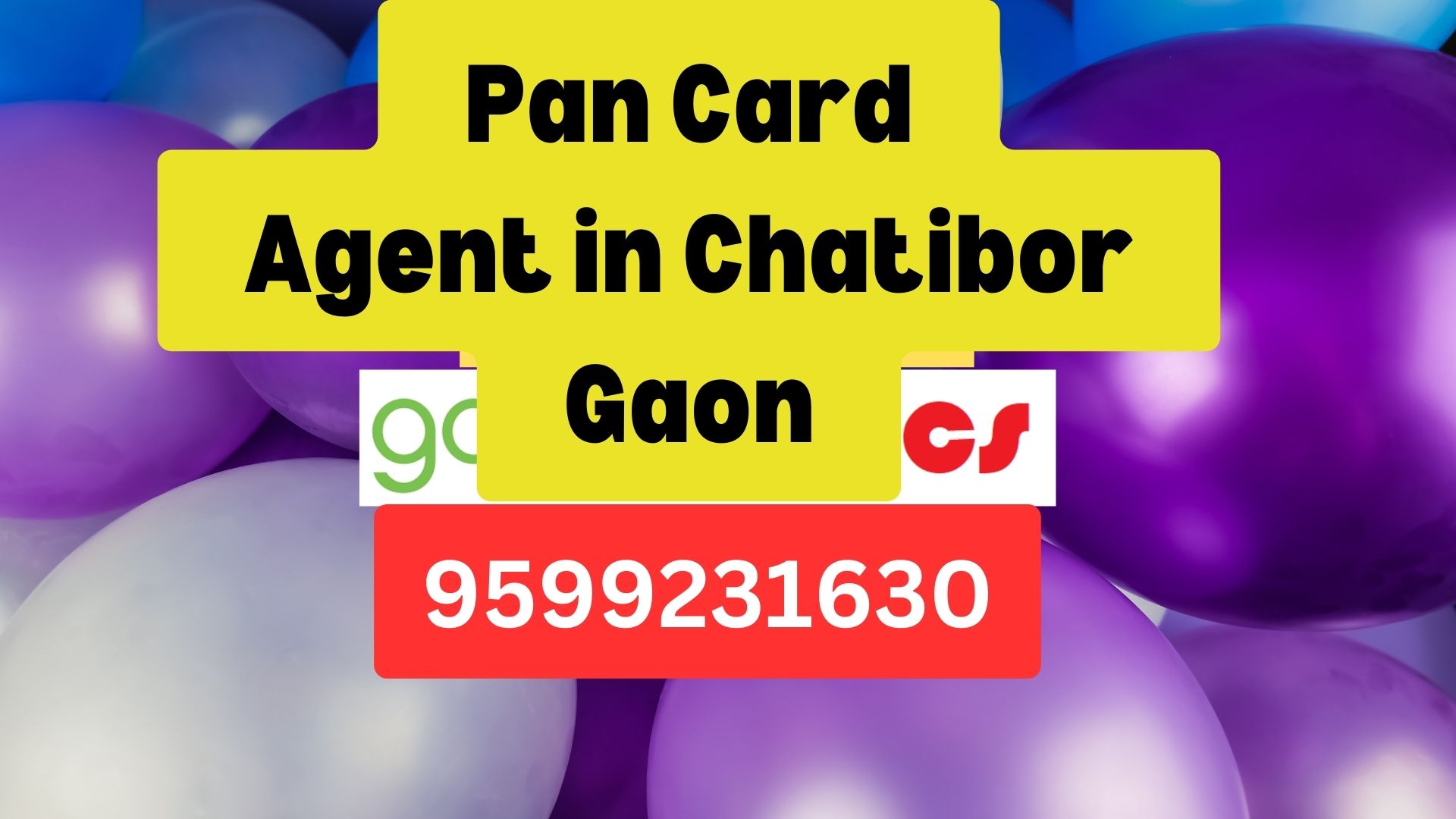 Pan Card Agent Consultant in Chatibor Gaon  8851415812