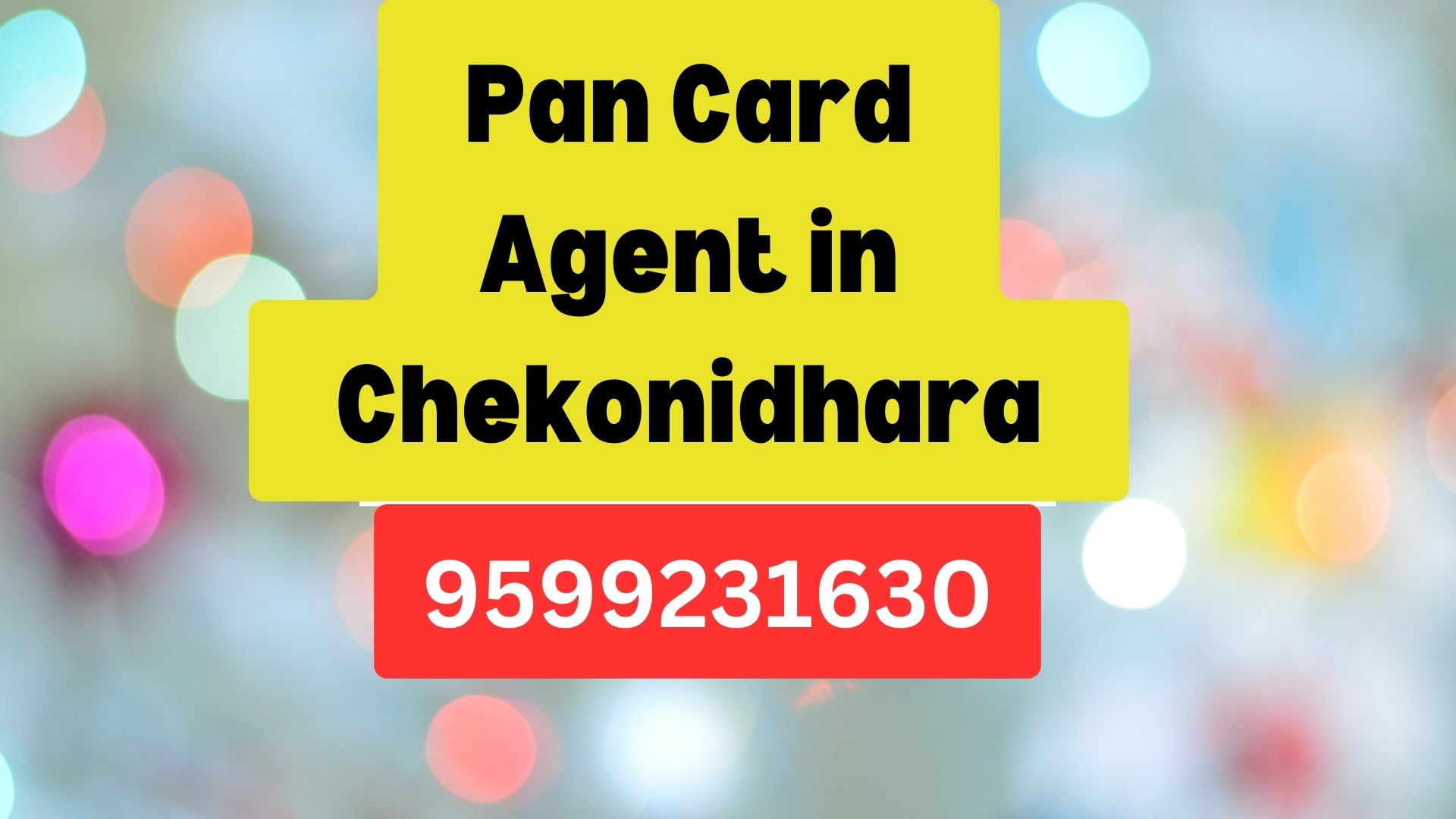 Pan Card Agent Consultant in Chekonidhara  8851415812