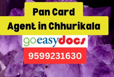 Pan Card Agent Consultant in Chhurikala 8851415812