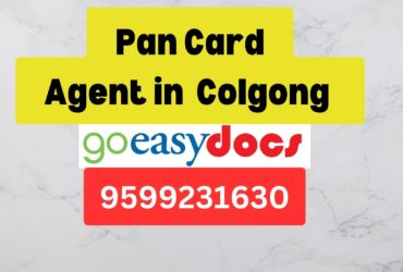 Pan Card Agent Consultant in Colgong   8851415812