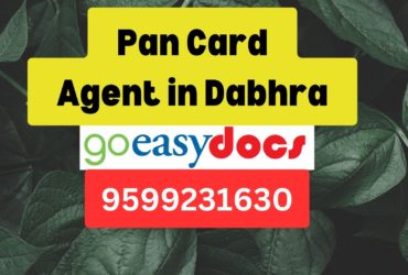 Pan Card Agent Consultant in Dabhra 8851415812