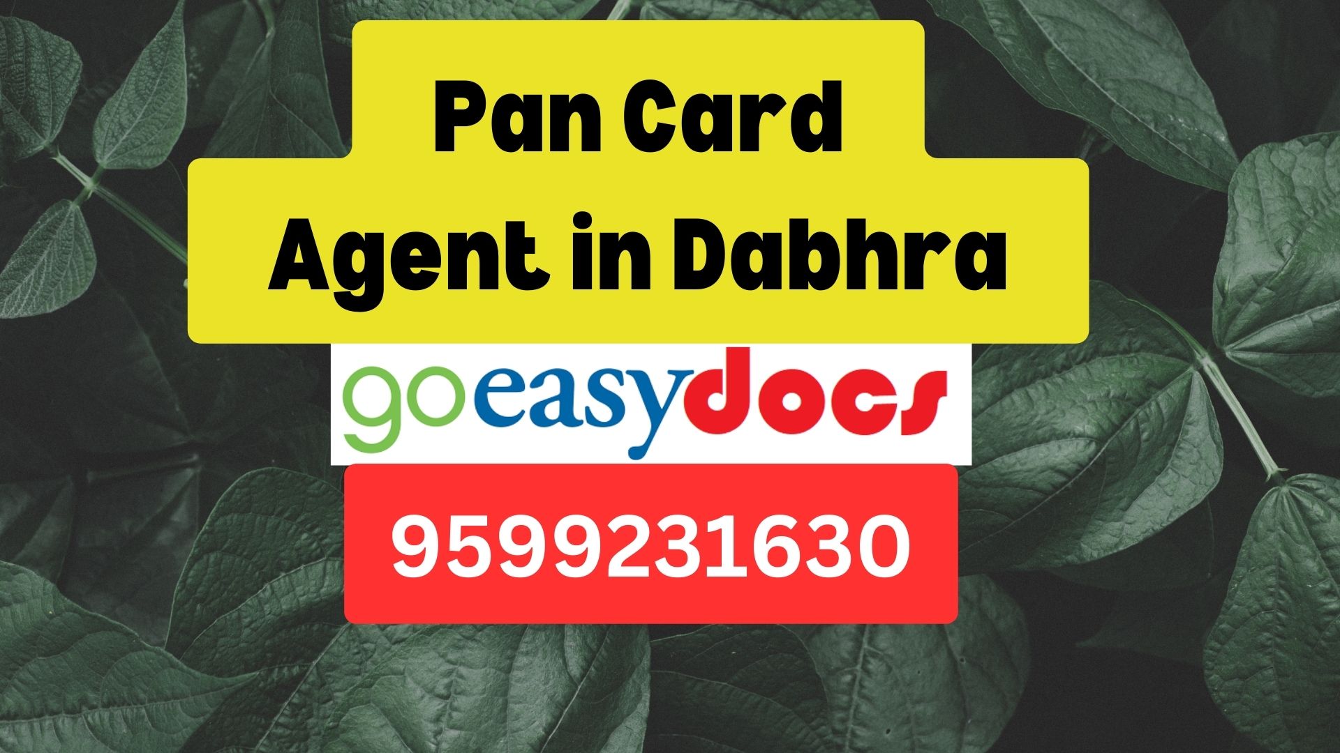 Pan Card Agent Consultant in Dabhra 8851415812