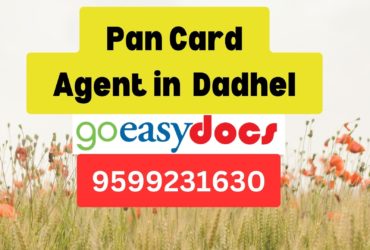 Pan Card Agent Consultant in Dadhel 8851415812