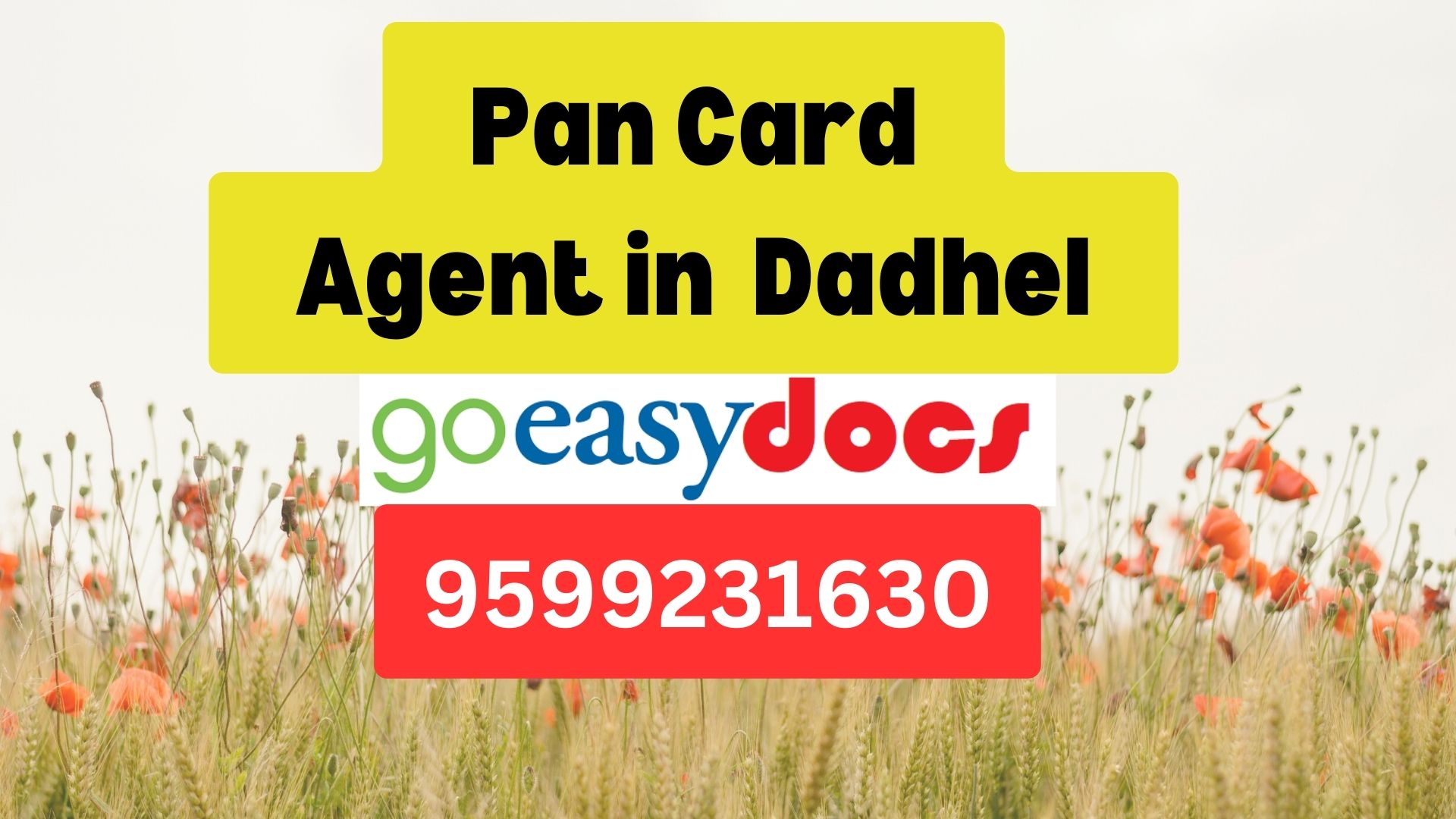 Pan Card Agent Consultant in Dadhel 8851415812