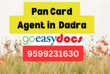 Pan Card Agent Consultant in Dadra 8851415812