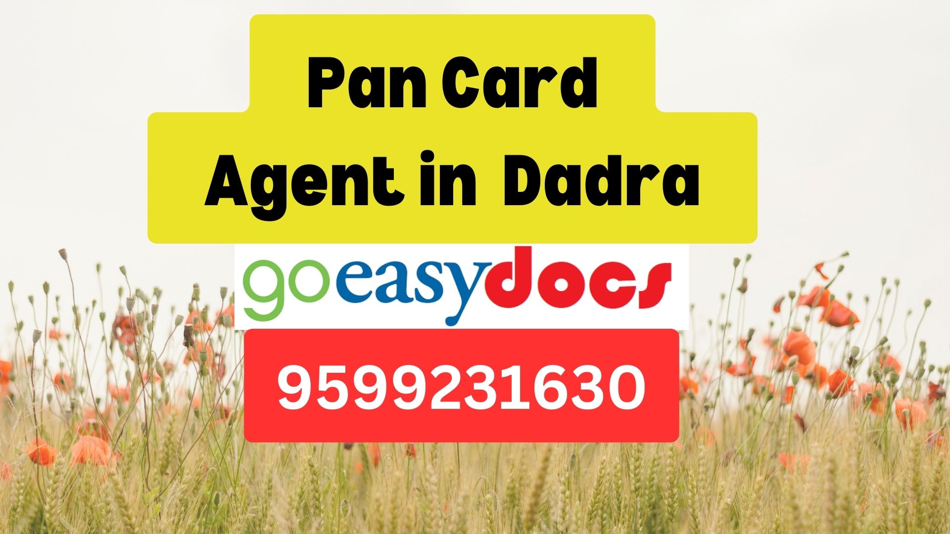 Pan Card Agent Consultant in Dadra 8851415812