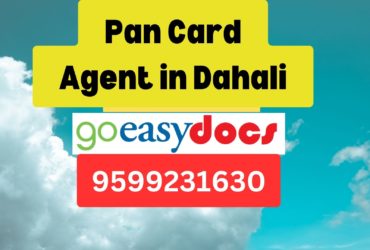 Pan Card Agent Consultant in Dahali  8851415812