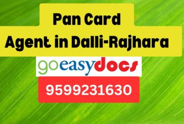 Pan Card Agent Consultant in Dalli-Rajhara 8851415812