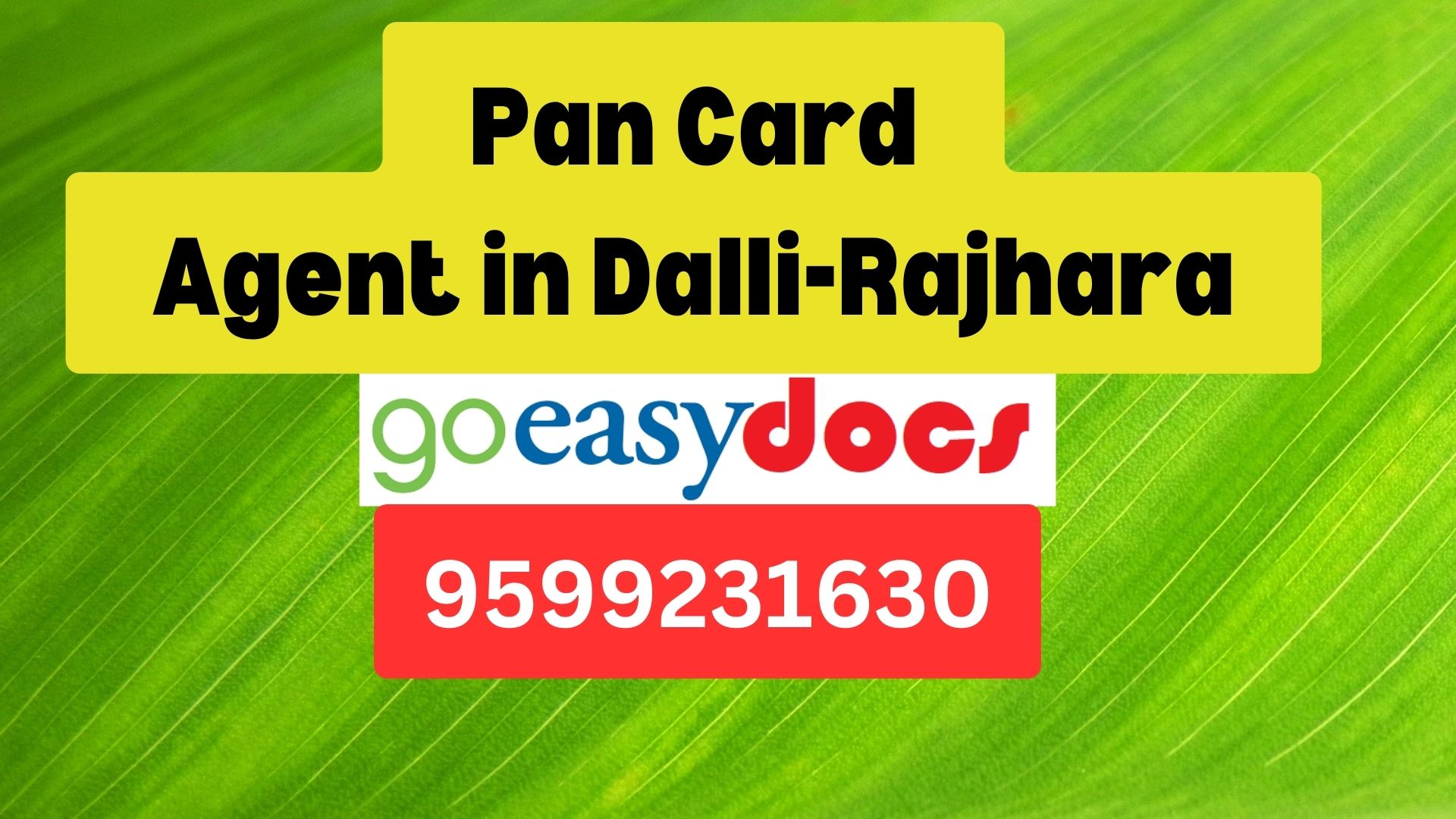 Pan Card Agent Consultant in Dalli-Rajhara 8851415812