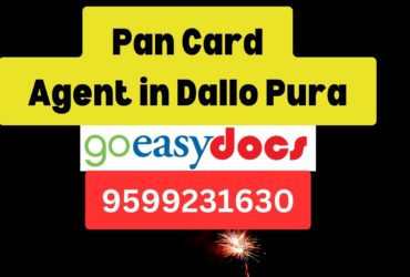 Pan Card Agent Consultant in Dallo Pura 8851415812