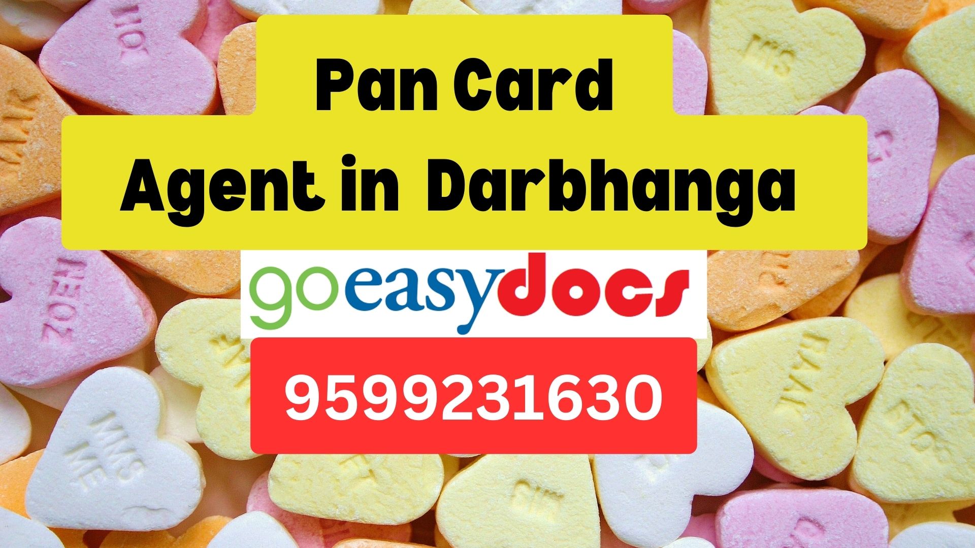 Pan Card Agent Consultant in Darbhanga   8851415812