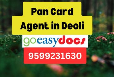 Pan Card Agent Consultant in Deoli 8851415812