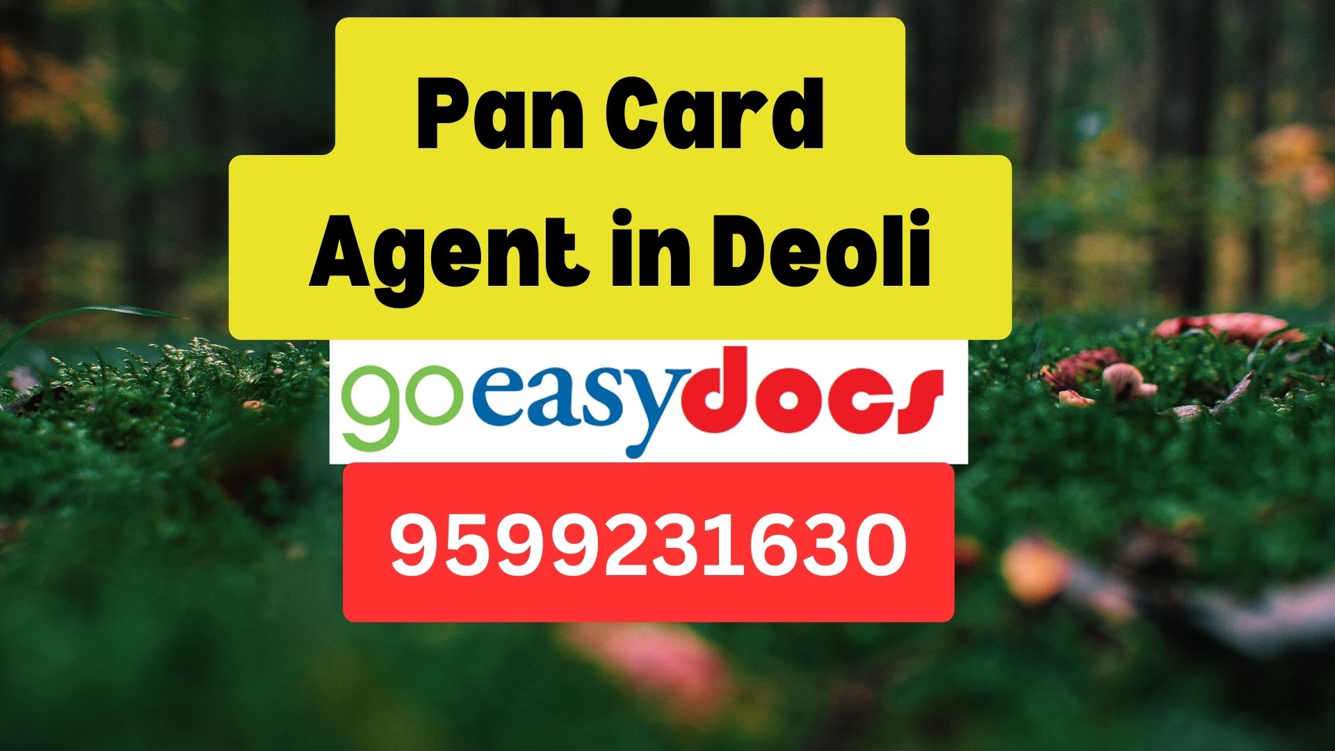 Pan Card Agent Consultant in Deoli 8851415812