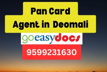 Pan Card Agent Consultant in Deomali  8851415812