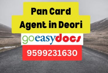 Pan Card Agent Consultant in Deori 8851415812