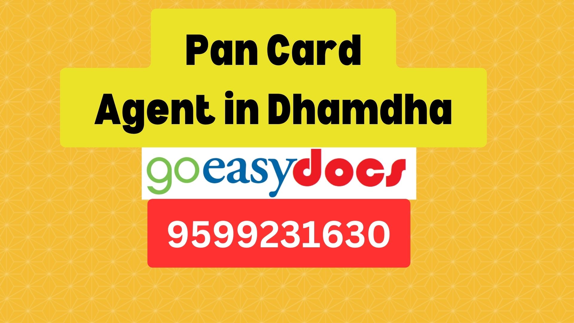 Pan Card Agent Consultant in Dhamdha 8851415812