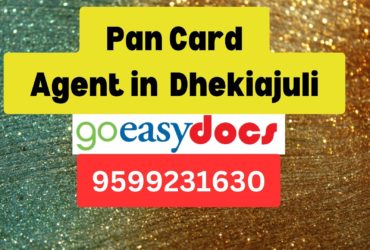 Pan Card Agent Consultant in Dhekiajuli  8851415812