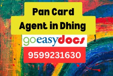 Pan Card Agent Consultant in Dhing  8851415812