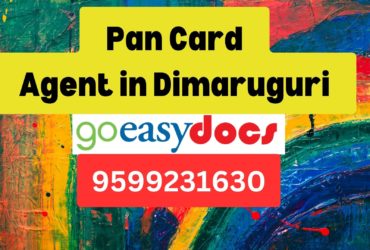 Pan Card Agent Consultant in Dimaruguri  8851415812