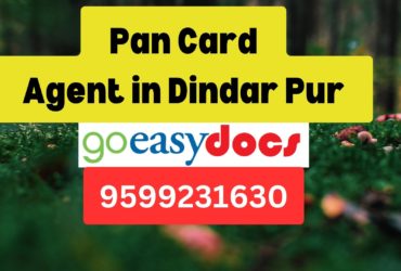 Pan Card Agent Consultant in Dindar Pur 8851415812