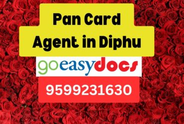 Pan Card Agent Consultant in Diphu  8851415812