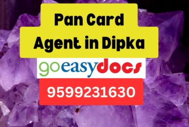 Pan Card Agent Consultant in Dipka 8851415812