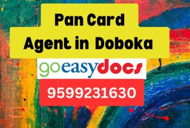 Pan Card Agent Consultant in Doboka   8851415812