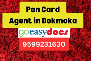 Pan Card Agent Consultant in Dokmoka  8851415812