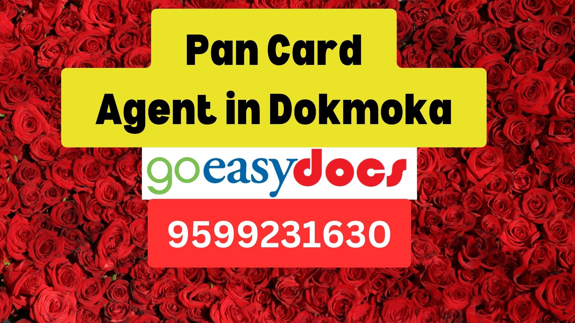 Pan Card Agent Consultant in Dokmoka  8851415812