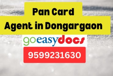 Pan Card Agent Consultant in Dongargaon 8851415812