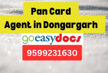 Pan Card Agent Consultant in Dongargarh 8851415812