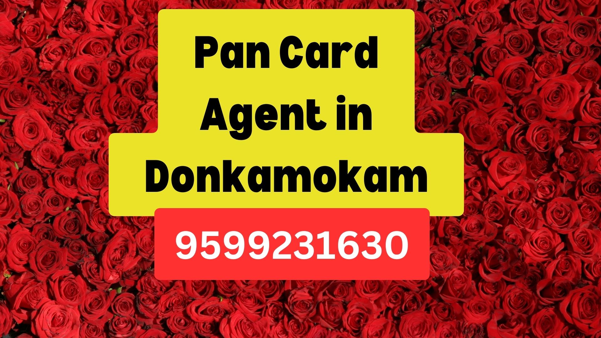 Pan Card Agent Consultant in Donkamokam  8851415812