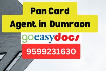 ard Agent Consultant in Dumraon  8851415812