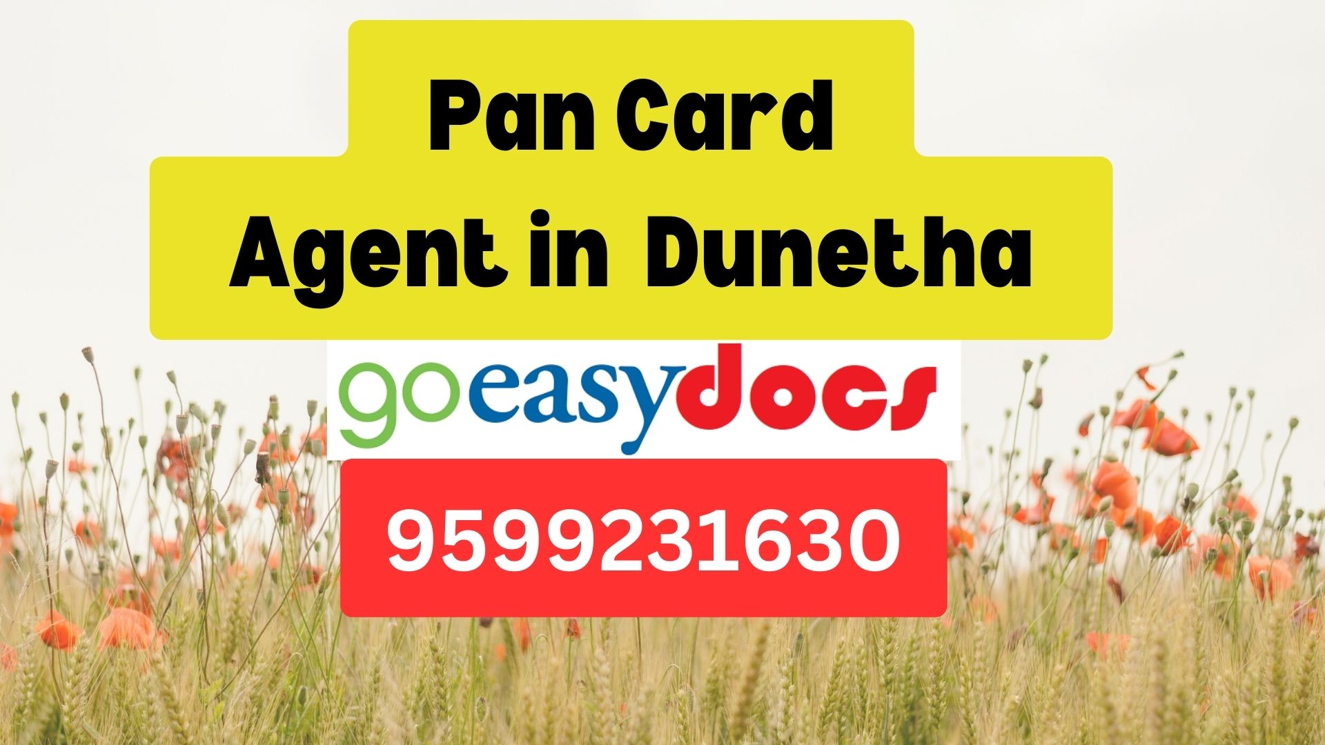 Pan Card Agent Consultant in Dunetha 8851415812