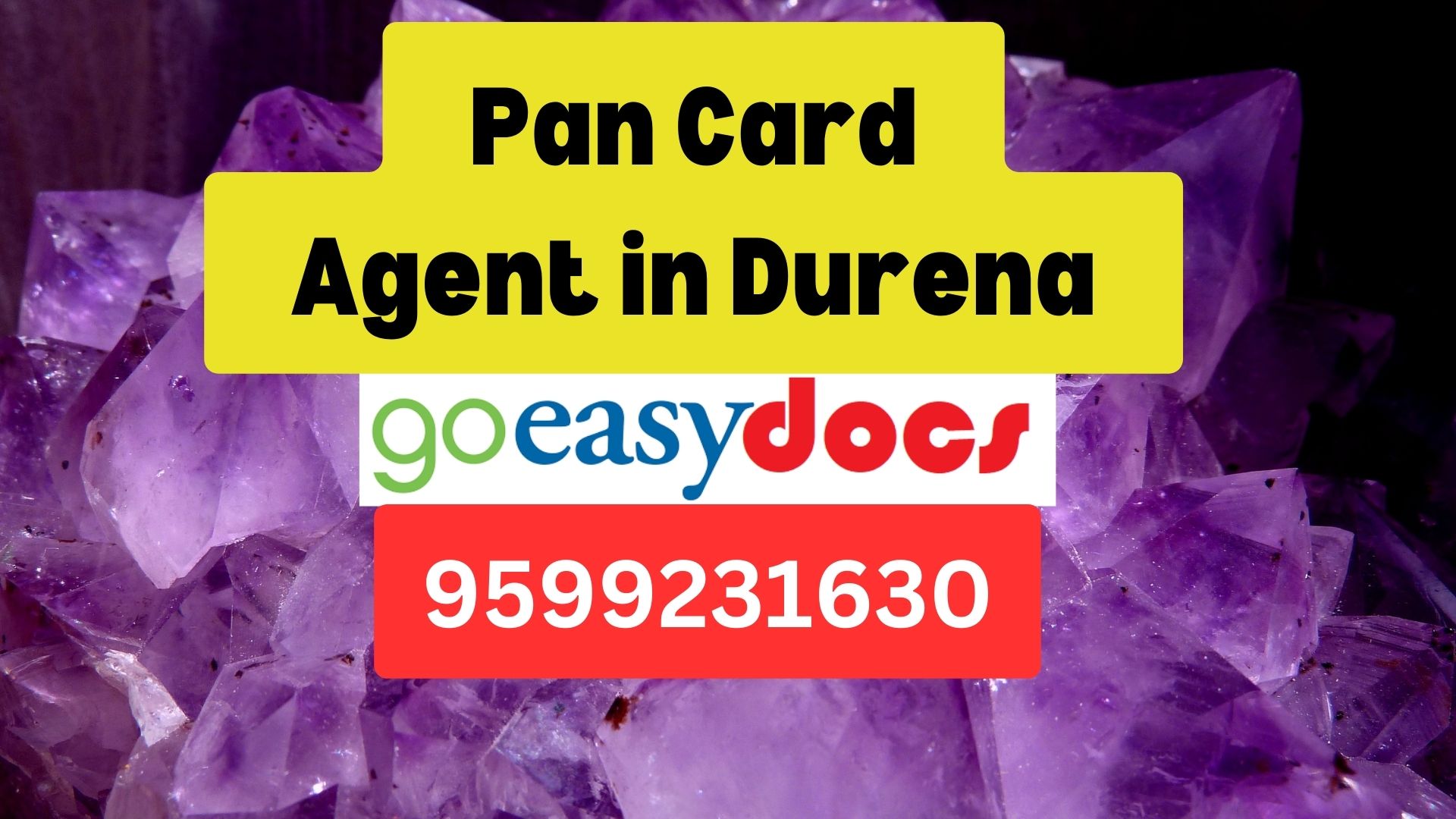 Pan Card Agent Consultant in Durena 8851415812