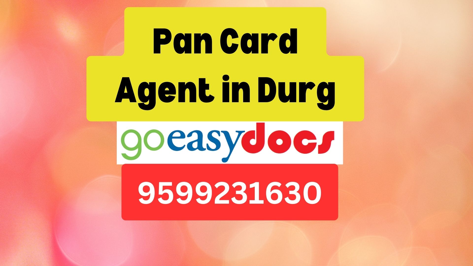 Pan Card Agent Consultant in Durg 8851415812